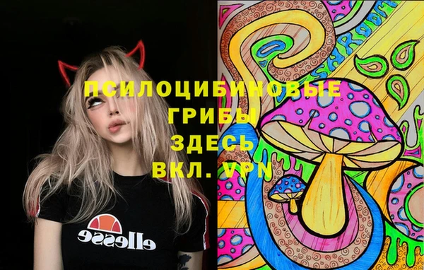 винт Алексеевка