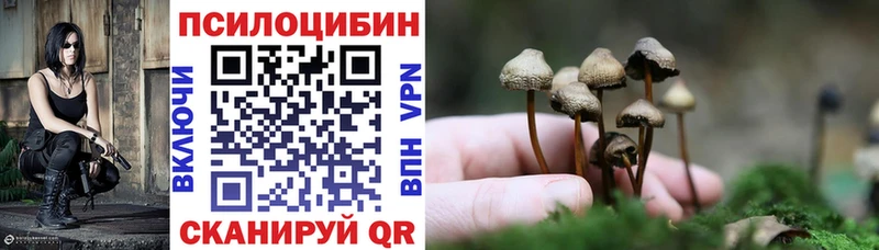 Псилоцибиновые грибы мицелий Обоянь